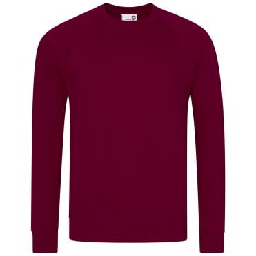 AWDis Academy Raglan Sweatshirt