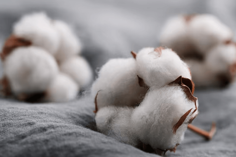 Comfort and softness