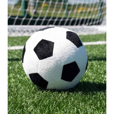 Mumbles Zippie Football
